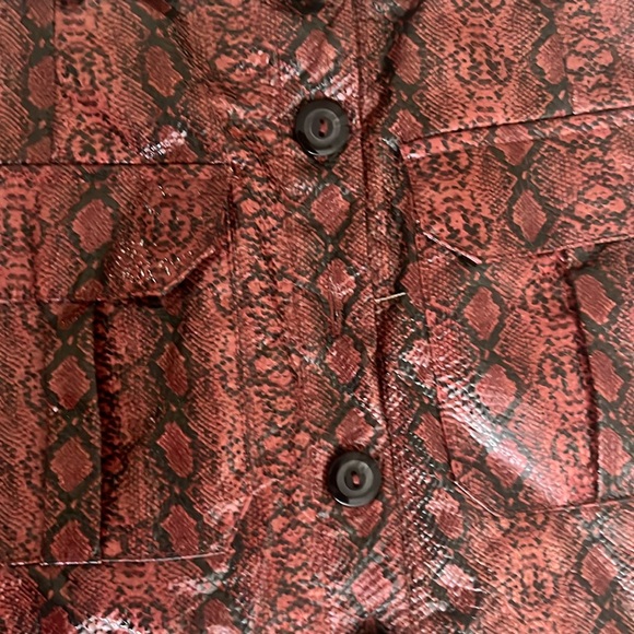 Urban Outfitters Finley Faux Snakeskin Button Front Skirt Size Small - Picture 5 of 9